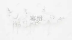 専用