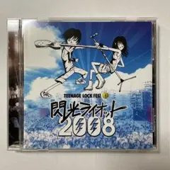 閃光ライオット2008