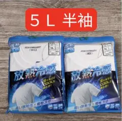⭐大人気商品⭐大きいサイズ ワークマン ５Ｌ 半袖 放熱冷感半袖Tシャツ 白