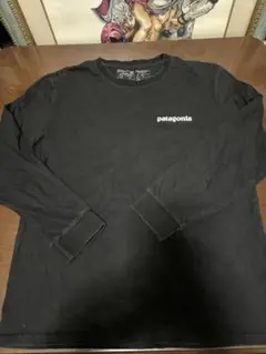パタゴニア　Patagonia ロンT