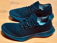 allbirds オールバーズ　メンズ ツリーダッシャー1 29.5㌢