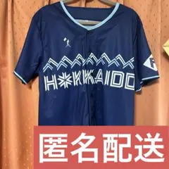WE LOVE HOKKAIDOシリーズ ユニフォーム 来場者プレゼント