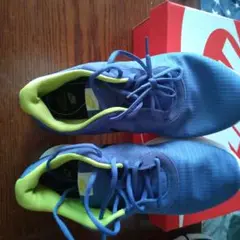 Item thumbnail for item 1a8f0c89-27a0-4cc4-9ca8-eb03e76b9d9a