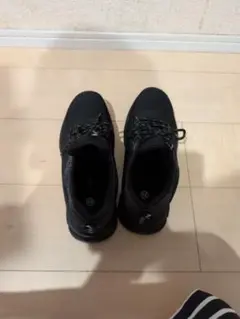 Item thumbnail for item b201eb48-e332-4cf5-bf8e-d2730986a8ac