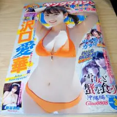 ヤングマガジン 2022年NO.31 沢口愛華