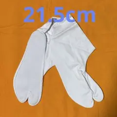 Item thumbnail for item 20fa8eea-f77b-421d-8983-32b121cf14ed