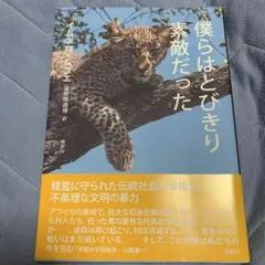 僕らはとびきり素敵だった