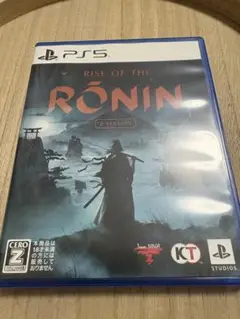 PS5 RONIN zversion