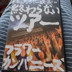 フラワーカンパニーズ/終わらないツアー-フラワーカンパニーズ結成20周年とその…
