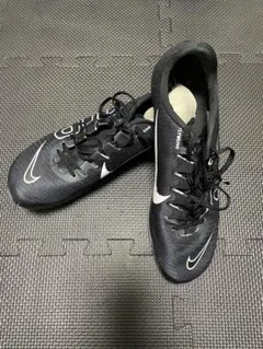 Item thumbnail for item 69360639-f735-4737-90de-05c67f1dfca8