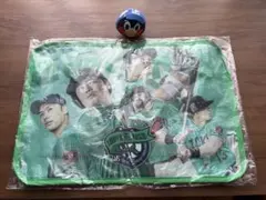 つば九郎 ぬいリング TOKYO燕プロジェクト限定応燕ポーチ 2点まとめ売り