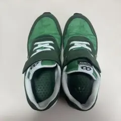 Item thumbnail for item d38efc5e-16d5-4115-a5c3-d9cd99217299