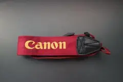 Item thumbnail for item fc90293c-fb0e-421d-9f9f-2f1172df67f9