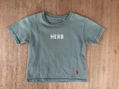 サンシャインクラウド　キッズT サイズ4 check&stripe別注