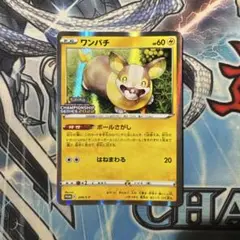 ワンパチ ポケモンカード チャンピオンシップ2022