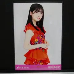 Item thumbnail for item 51175c88-2a27-45cb-8c2d-594b6fe55cf1