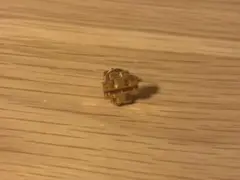 Item thumbnail for item 522963e9-f4c3-4832-9204-4dd1e5129207