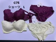 トリンプ　 夢みるブラ　DeepV ブラジャー&ショーツセット　未使用
