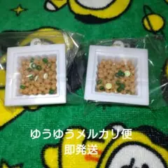 Item thumbnail for item c655cd17-fa69-4e22-ae0f-8eda08a9c408