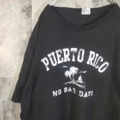 半袖TシャツUSA古着ビッグオーバーサイズブラックXL　A13,22