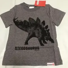 【新品】シュライヒ　ステゴザウルス　Tシャツ　110cm