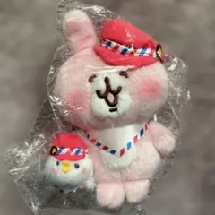 カナヘイ　エアメール風 ピスケ&うさぎ ぬいぐるみ　新品未使用　タグ付き