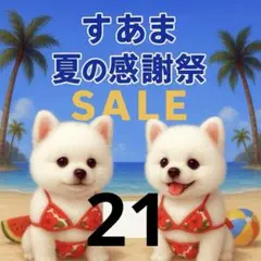 ✨夏の感謝祭セール✨パネル【Ｎｏ．21】