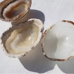 onyx bowl