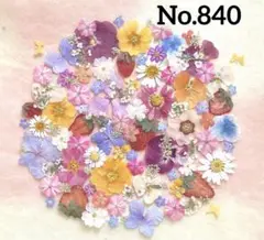 押し花素材　No.840 ワケアリセット