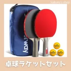 卓球 ラケット 初心者 中級者 2本 ケース付き ボール付き