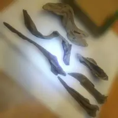 Item thumbnail for item 701eada5-009a-48c9-bc6f-278722a94995