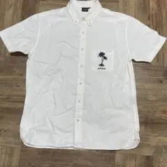 muta 白　コットンシャツ　サイズ7