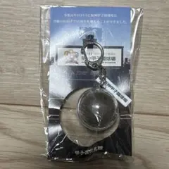 阪神甲子園球場 95周年記念 甲子園の土が入ったキーホルダー 新品未開封品