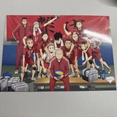 ハイキュー ゴミ捨て場の決戦 入場特典 音駒 ポストカード 劇場版