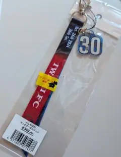 水戸ホーリーホック ボンフィン