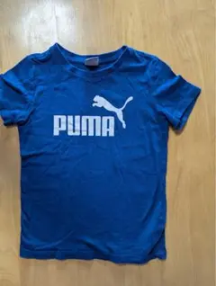 PUMA ロゴ Tシャツ 青