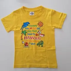 DELTA PRO WEIGHT ハワイ Tシャツ XS