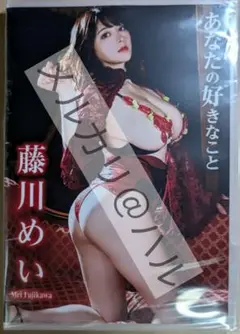 藤川めい 「あなたの好きなこと」 DVD 新品未開封品