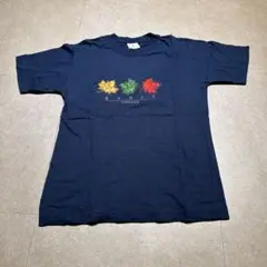 Canada バンフ　banff 半袖　tシャツ　紺　ネイビー　刺繍　カナダ製
