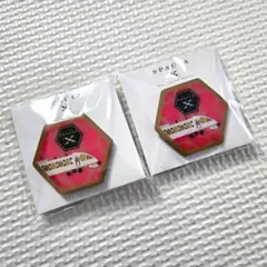 スペースX オリジナルピンバッジ ノベルティ