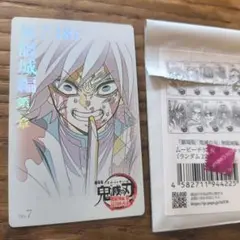 鬼滅の刃 無限城編 ムビチケ風カード 義勇