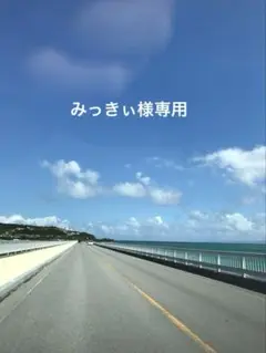 ハンドメイドハンカチ2枚セット