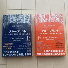 ブループリント 「よい未来」を築くための進化論と人類史 上 下 初版