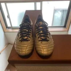 モレリア　25.5