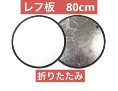 Item thumbnail for item 18bc0907-e69f-403d-b35d-8871d6f3a3c6