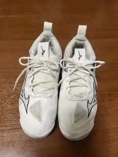 Item thumbnail for item d37ead7c-01d2-4e56-823c-04fa634f7aea