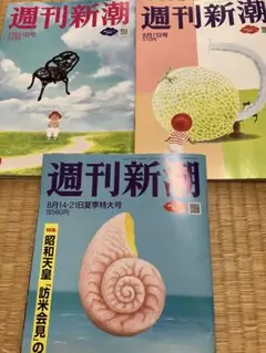 週刊新潮3冊セット