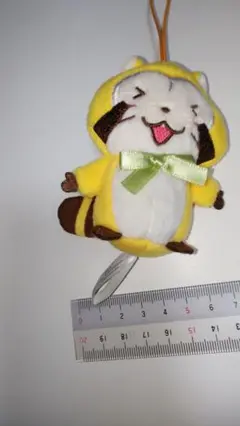 ラスカルぬいぐるみ
