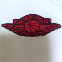 レア エアー ジョーダン AJ 2 ウィングロゴ 半袖 ロング Teeシャツ M