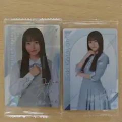 Item thumbnail for item 06a81d48-8841-479d-8bcd-9936c12fd0ca